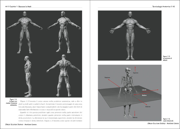 ZBrush Scultura Digitale - Anatomia Umana - pagine 44 - 45