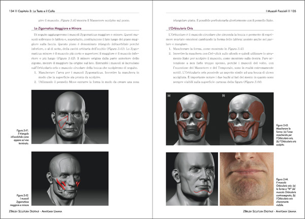 ZBrush Scultura Digitale - Anatomia Umana - pagine 134 - 135