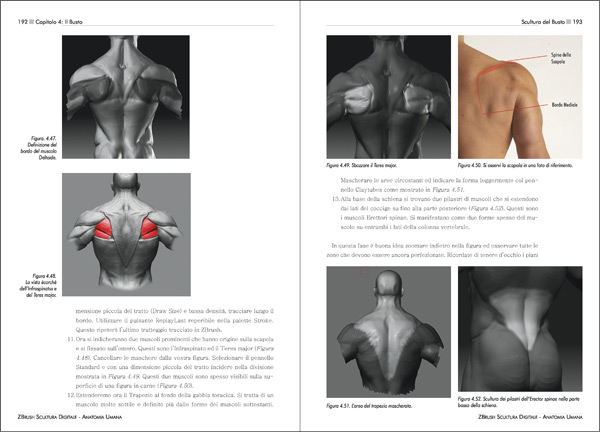 ZBrush Scultura Digitale - Anatomia Umana - pagine 192