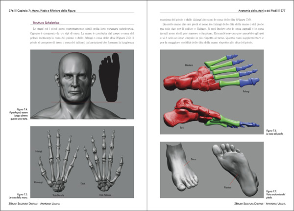 ZBrush Scultura Digitale - Anatomia Umana - pagine  276 - 277
